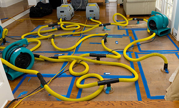 Professional Basement Flood Cleanup technician working in Bremen, ME